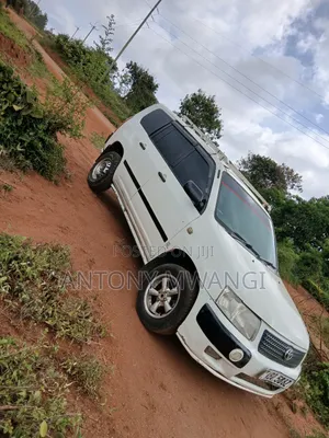 Toyota Succeed 2004 White
