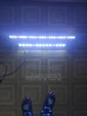 Submersible LED Aquarium Lights (Pair - Long & Medium)