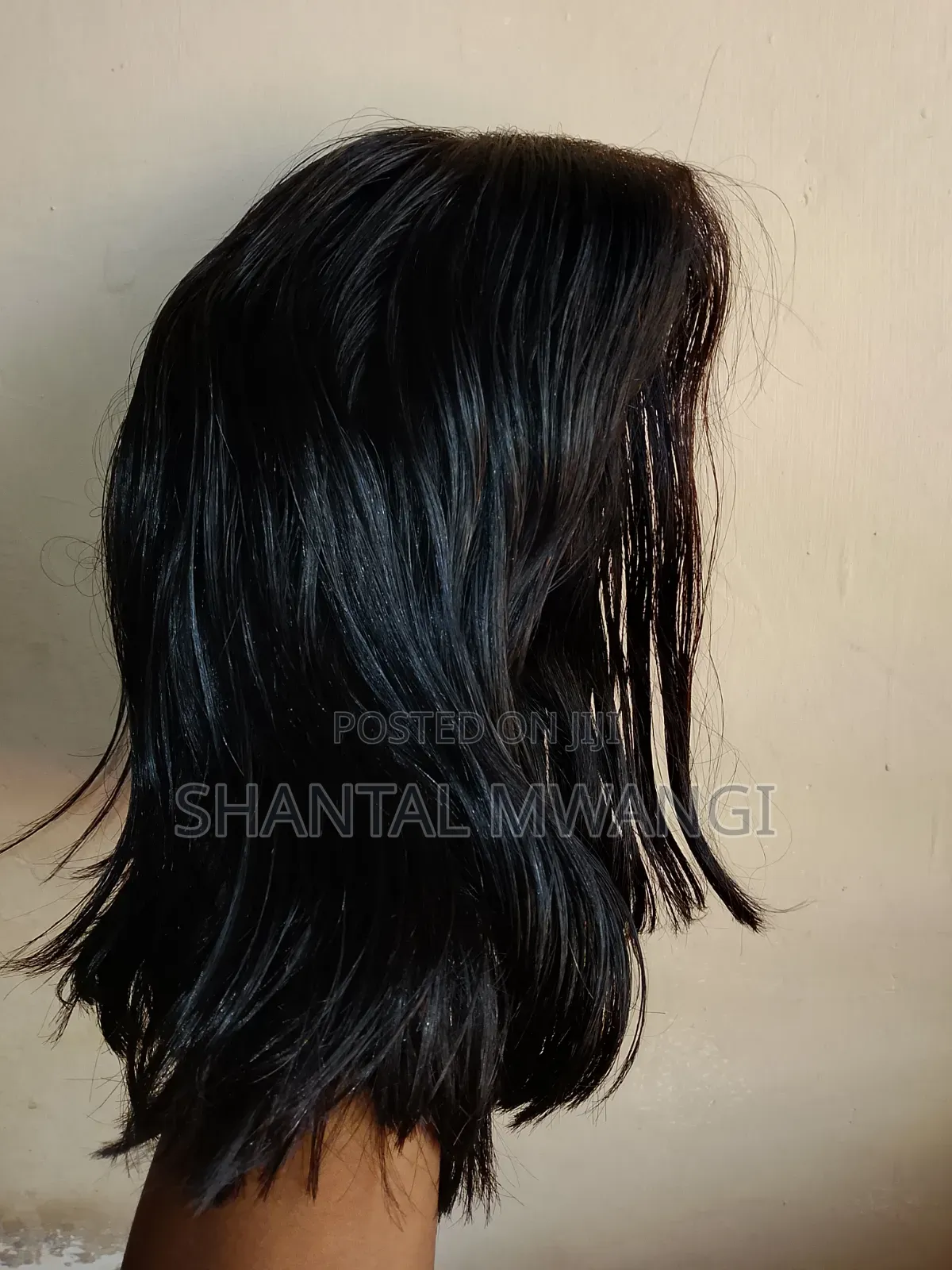 Human Hair Wig