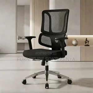 Office Chair; Office Orthopedic Seat With Lumber Support