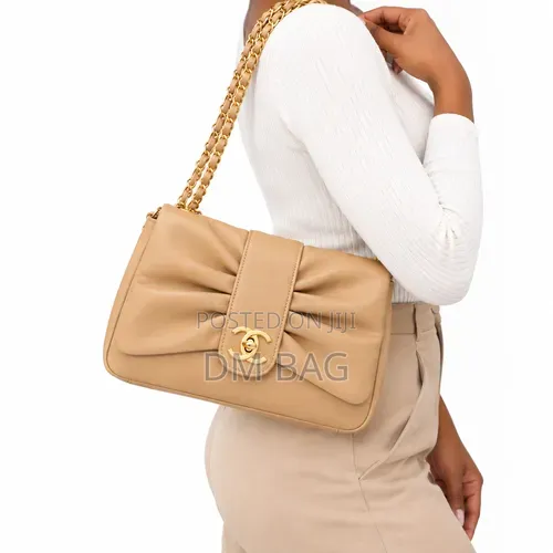 Elegant Ruched Chain Bag
