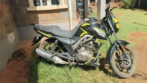 Beth Iron Horse 180 2022 Yellow