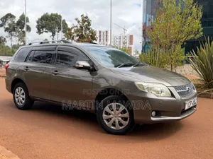 Toyota Corolla Fielder 2011 Gray