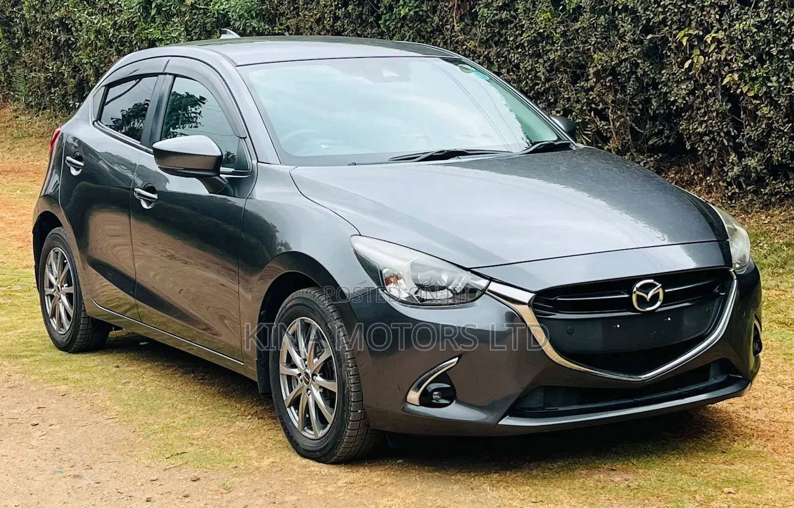 Mazda Demio 2019 Gray