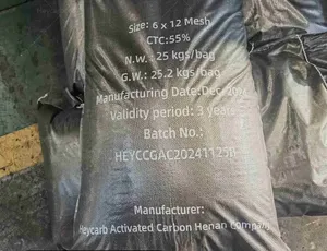 Activated Carbon