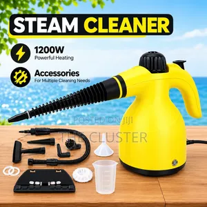 220V Handheld High Temperature Steam Cleaner Sterilization