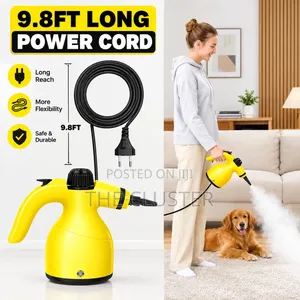 220V Handheld High Temperature Steam Cleaner Sterilization