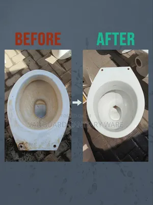 Professional Toilet Cleaning and Restoration