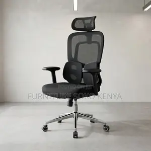 Office Chairs; Orthopedic High-Back Ergonomic Executive Chair