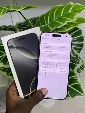 Apple iPhone 16 Pro Max 256 GB Silver