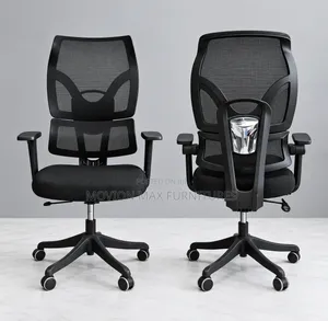 Ergonomic Mesh Office Chair With Adjustable Back Support and Armrests