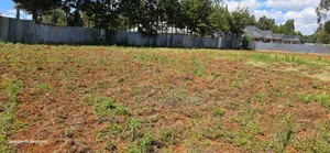 Golden Palm Estate Kiambu Rd Prime Secure Fully Serviced 1/4 Acre