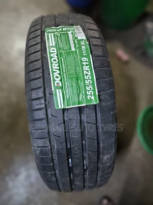 255/55r19 Dovroad Tyre