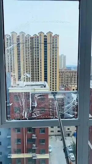 Telescopic Window & Floor Squeegee Cleaner