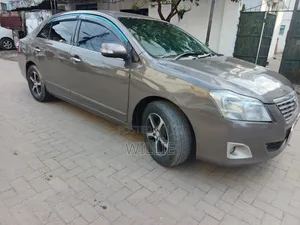 Toyota Premio 2010 Gray