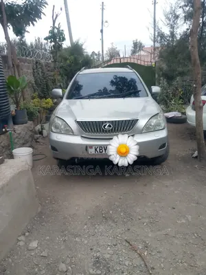 Lexus RX 350 AWD 2009 Silver