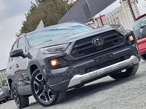 Toyota RAV4 2019 Gray