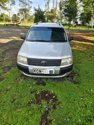 Toyota Probox 2011 Silver