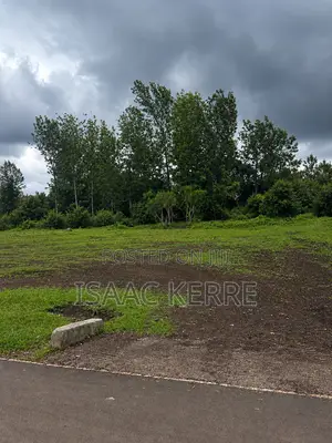 South B Commercial Plot 50 by 100. Near South B Shopping Center