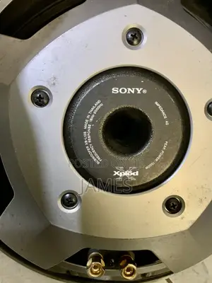 Sony Xplod Subwoofer + Double Breather Tuned Cabinet