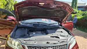 Lexus RX 2013 Maroon