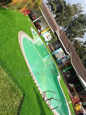 Durable and Long-Lasting 25mm Artificial Turf