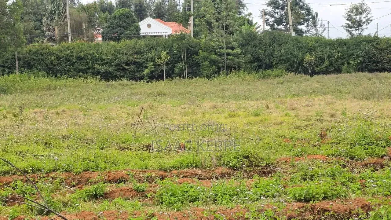 Commercial Plot