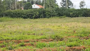 Commercial Plot