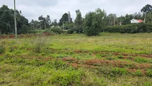 Commercial Plot