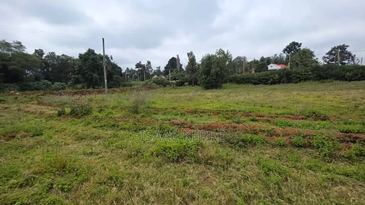 Commercial Plot