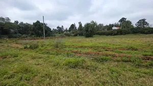 Commercial Plot