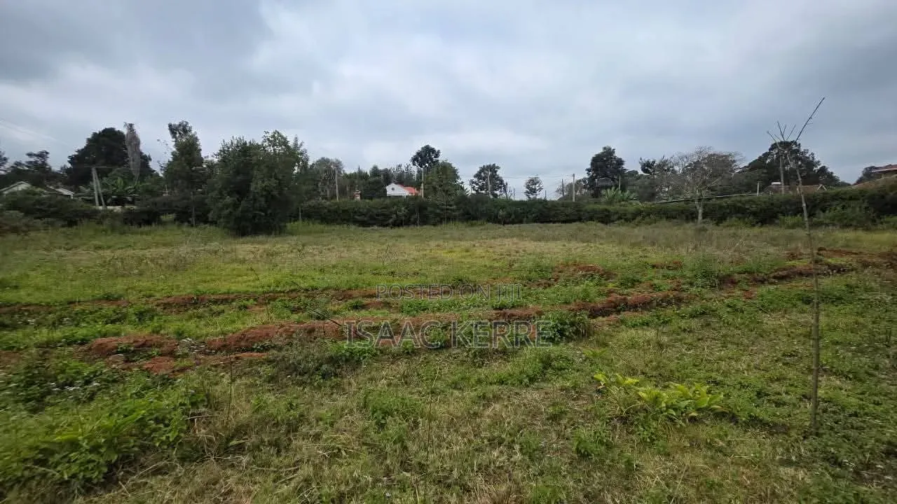 Commercial Plot