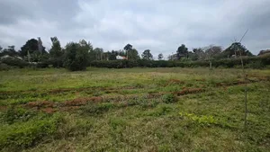 Commercial Plot