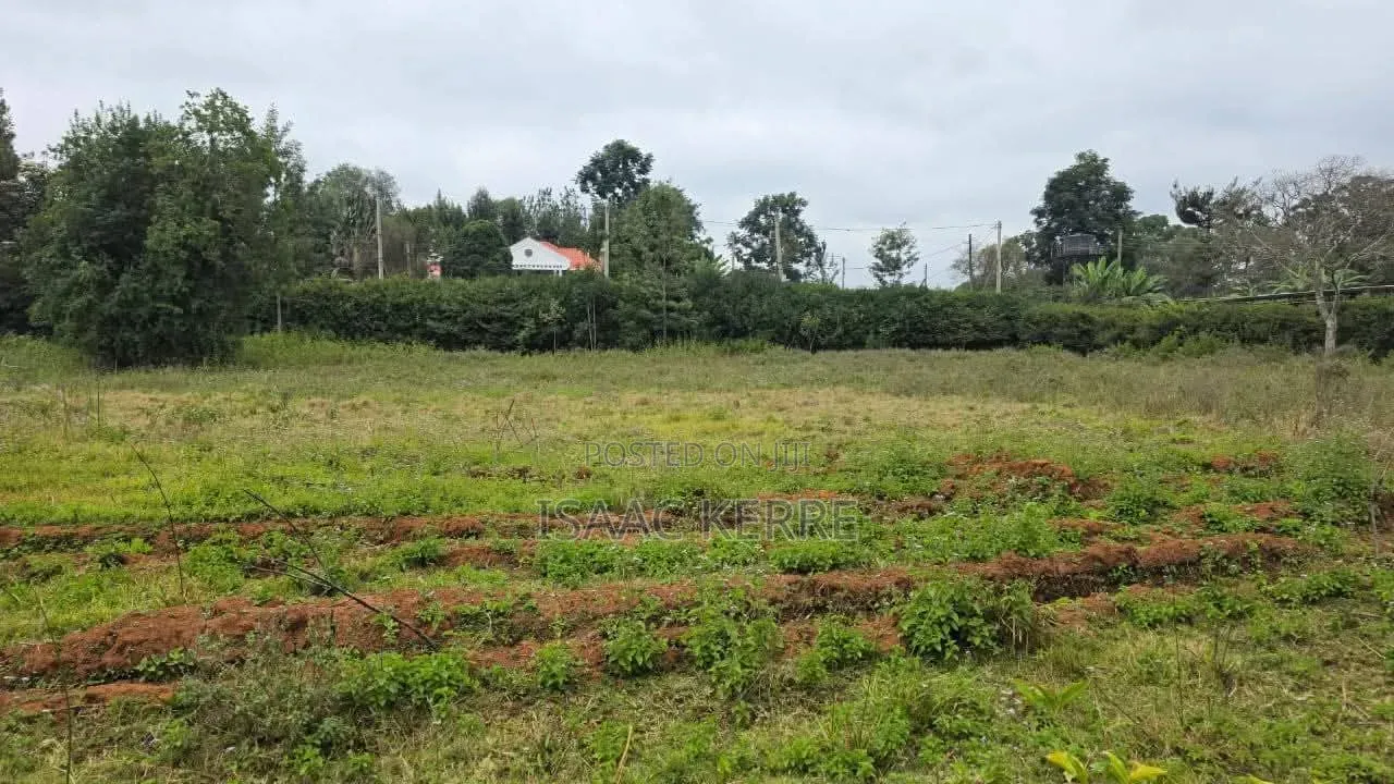 Commercial Plot