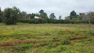 Commercial Plot