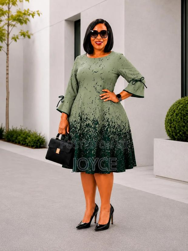 Senori Skater Dress