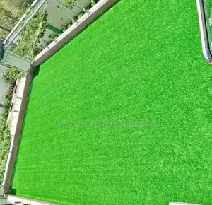 Rooftops Grass Carpets Grass Carpets Environmental Friendly Justice