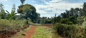 One Acre Land for Sale in Kirinyaga Kimbimbi Kathiriku Area
