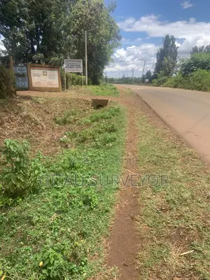 1/4acre Kadongu at 1.5m