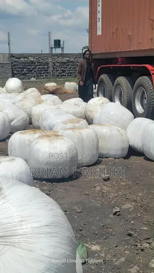 Silage Available.