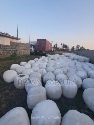 Silage Available.