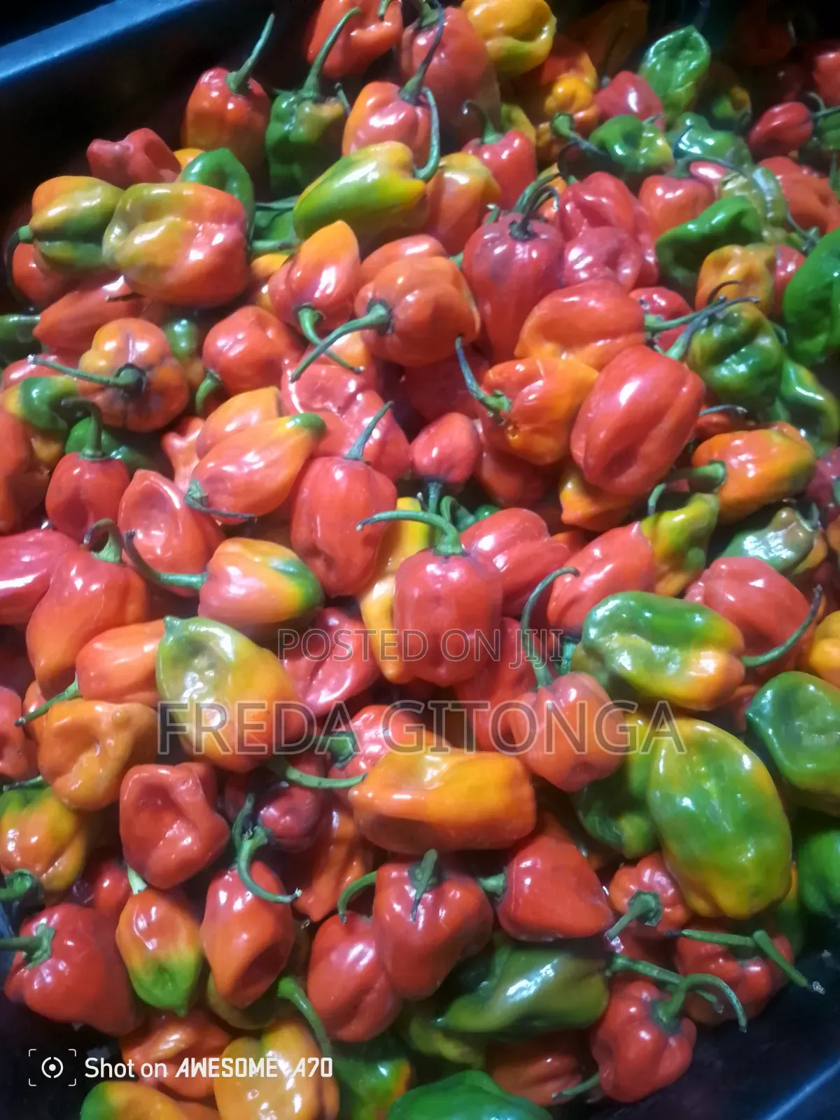 Chillies Chillies