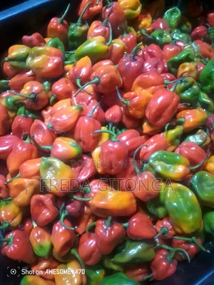 Chillies Chillies