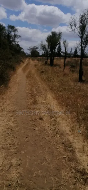Maai Mahiu 50 X 100 Plots 900metres From Narok Rd Branch at Curio Shop