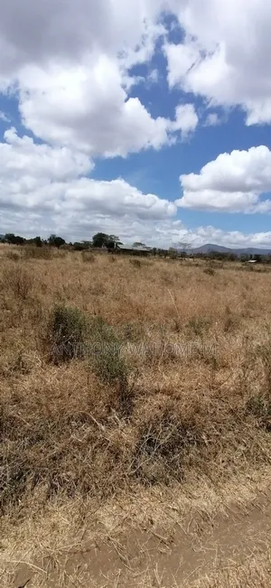 Maai Mahiu 50 X 100 Plots 900metres From Narok Rd Branch at Curio Shop