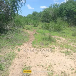 5 Acres for Sale in Malindi