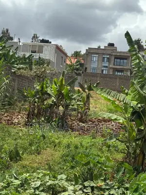 50x100 Plot for Sale Ngoigwa.