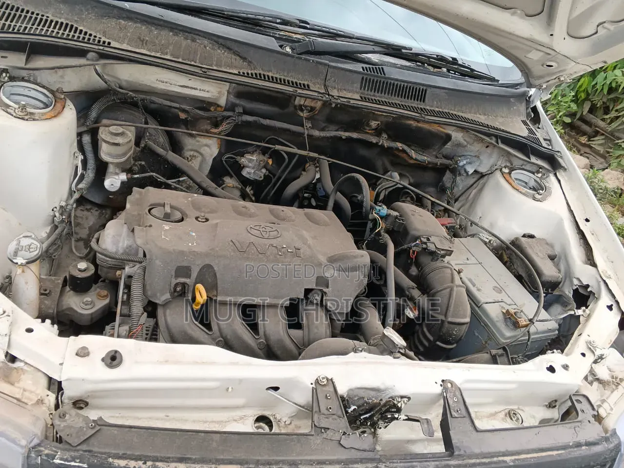Toyota Probox 2006 White