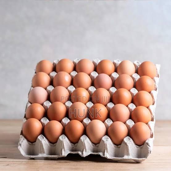 Eggs (Layers)