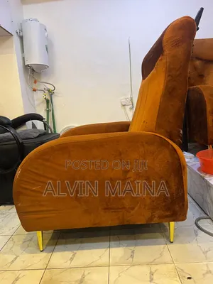Salon Chair